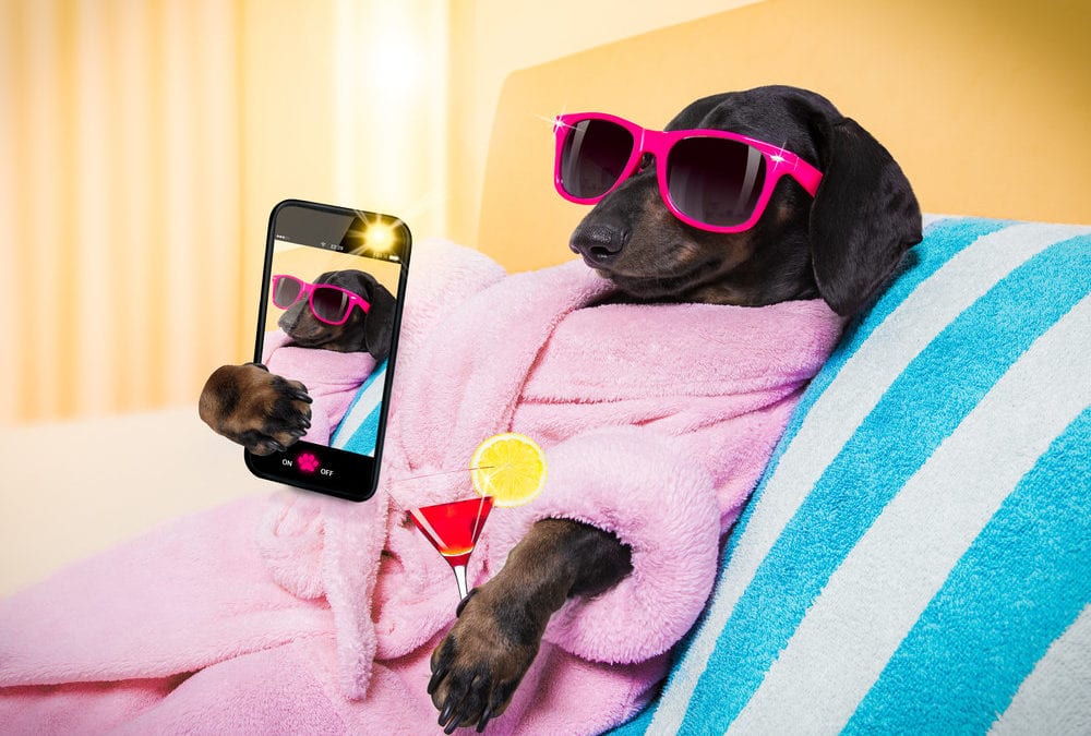 MINDSET – A GIFT OF SELF-LOVE